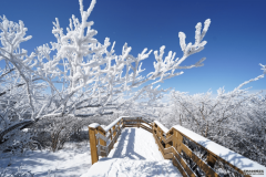 雪后的衢州龙游六春湖美成了“仙