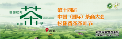 线上线下齐发力 松阳茶香飘万里